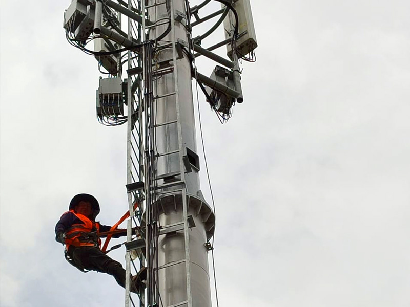 Ingeniería Eléctrica y Electrónica